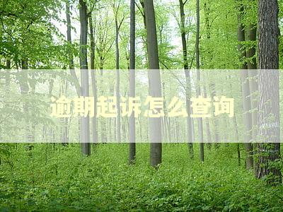 逾期起诉怎么查询