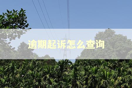 逾期起诉怎么查询 逾期起诉怎么查询