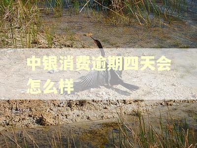 中银消费逾期四天会怎么样