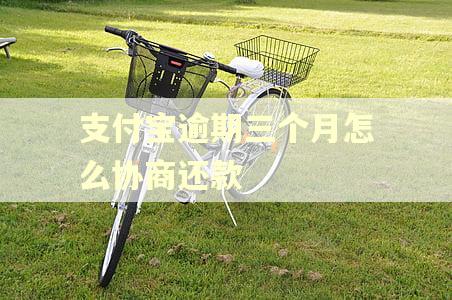 支付宝逾期三个月怎么协商还款