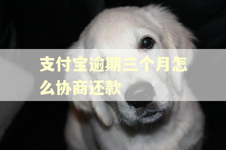 支付宝逾期三个月怎么协商还款