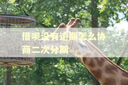 借呗没有逾期怎么协商二次分期
