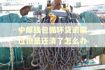 中邮钱包循环贷逾期过但是还清了怎么办