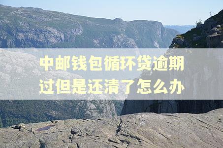 中邮钱包循环贷逾期过但是还清了怎么办