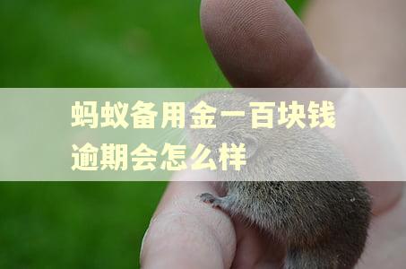 蚂蚁备用金一百块钱逾期会怎么样