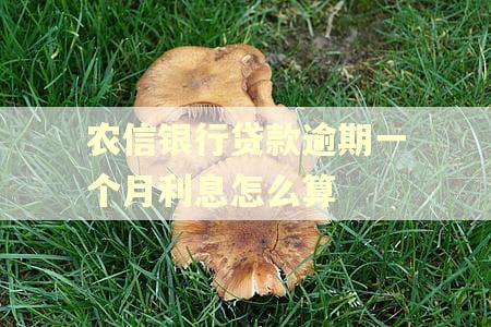 农信银行贷款逾期一个月利息怎么算