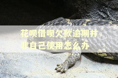 花呗借呗欠款逾期并非自己使用怎么办