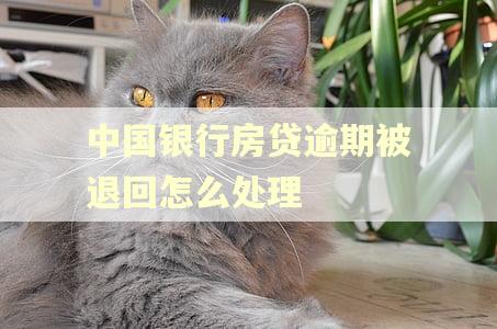 中国银行房贷逾期被退回怎么处理