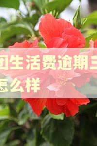 美团生活费逾期三天会怎么样