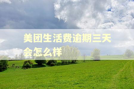 美团生活费逾期三天会怎么样