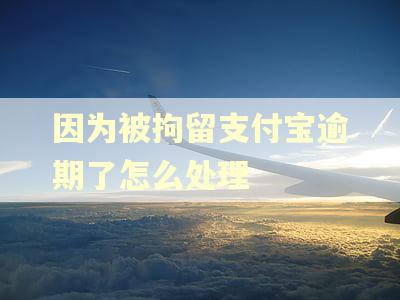 因为被拘留支付宝逾期了怎么处理