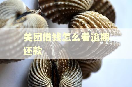 美团借钱怎么看逾期还款