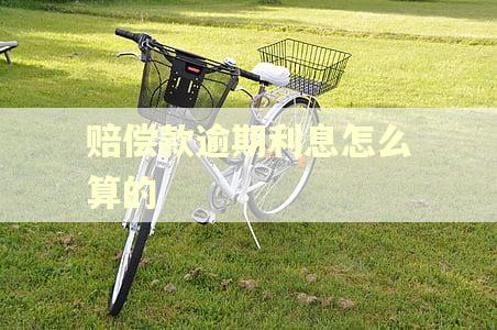 赔偿款逾期利息怎么算的