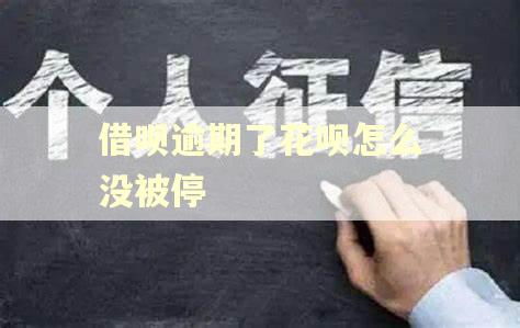 借呗逾期了花呗怎么没被停