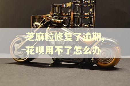 芝麻粒修复了逾期,花呗用不了怎么办 芝麻粒修复了逾期,花呗用不了怎么办