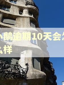 小鹅逾期10天会怎么样 小鹅逾期10天会怎么样
