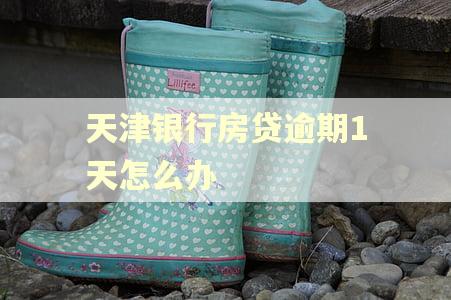 天津银行房贷逾期1天怎么办