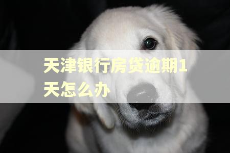 天津银行房贷逾期1天怎么办
