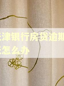 天津银行房贷逾期1天怎么办 天津银行房贷逾期1天怎么办