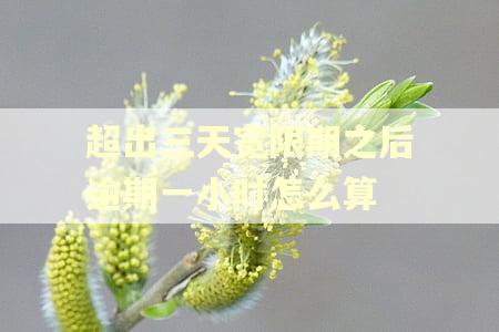 超出三天宽限期之后逾期一小时怎么算
