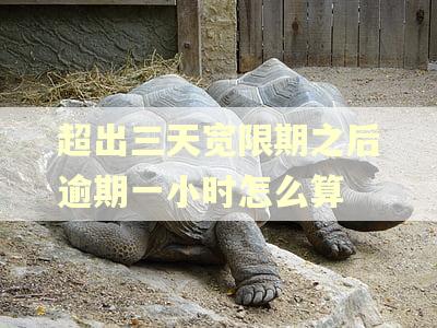超出三天宽限期之后逾期一小时怎么算