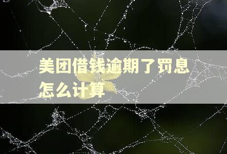 美团借钱逾期了罚息怎么计算