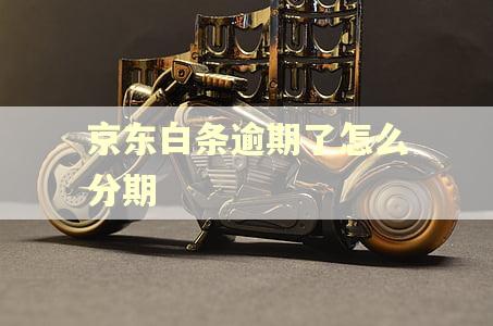 京东白条逾期了怎么分期