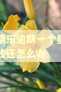 分期乐逾期一个星期没钱还怎么办