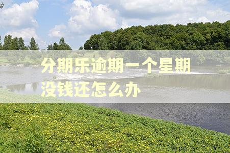 分期乐逾期一个星期没钱还怎么办 分期乐逾期一个星期没钱还怎么办