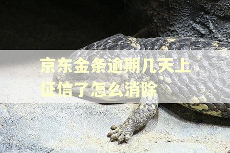京东金条逾期几天上征信了怎么消除