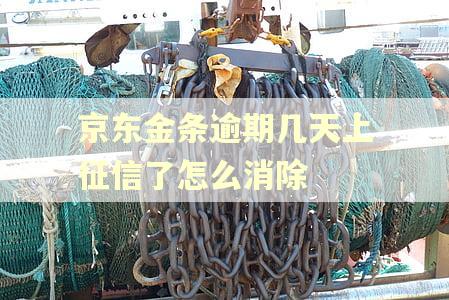 京东金条逾期几天上征信了怎么消除