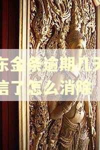 京东金条逾期几天上征信了怎么消除