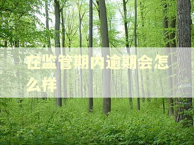 在监管期内逾期会怎么样