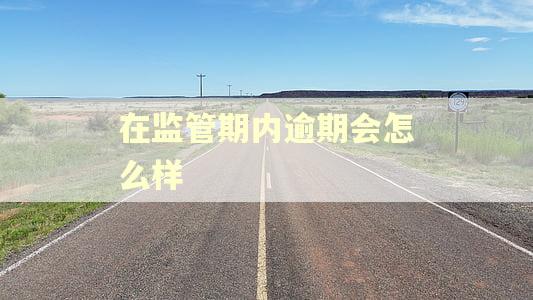 在监管期内逾期会怎么样 在监管期内逾期会怎么样