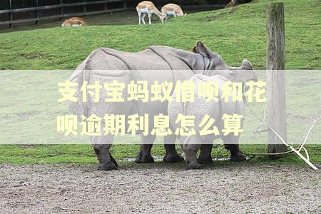 支付宝蚂蚁借呗和花呗逾期利息怎么算
