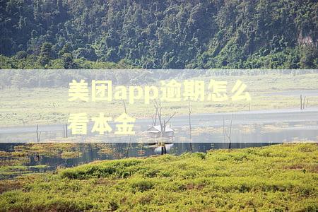 美团app逾期怎么看本金