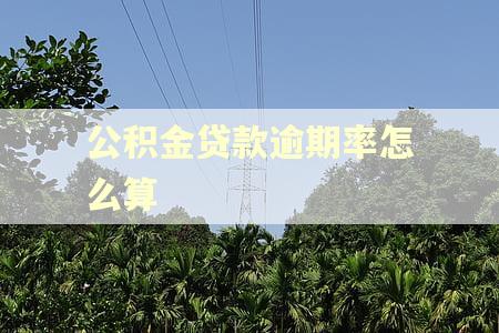 公积金贷款逾期率怎么算