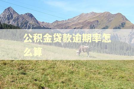公积金贷款逾期率怎么算