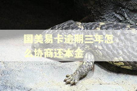 国美易卡逾期三年怎么协商还本金