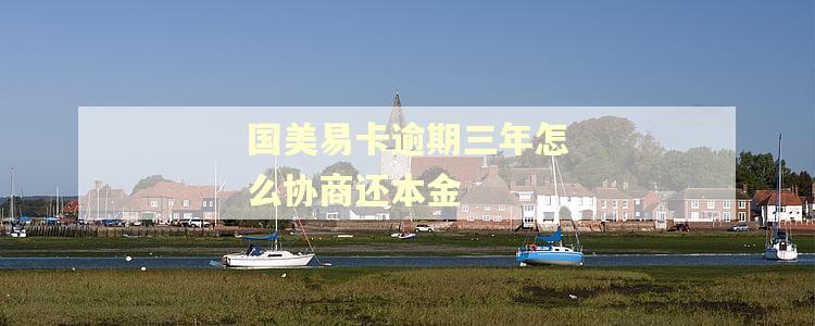 国美易卡逾期三年怎么协商还本金