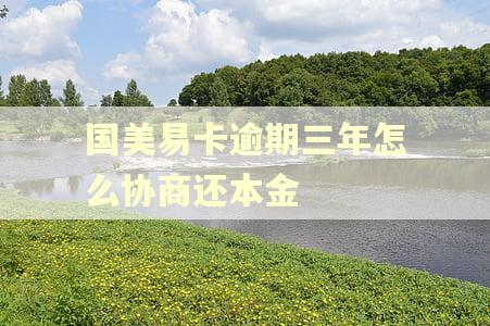 国美易卡逾期三年怎么协商还本金