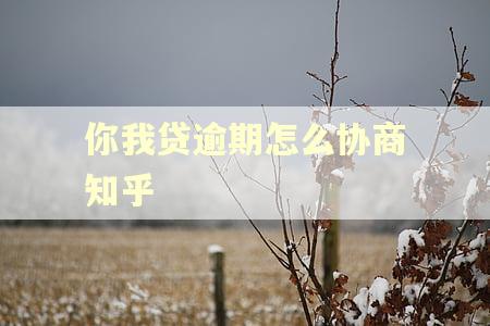 你我贷逾期怎么协商知乎