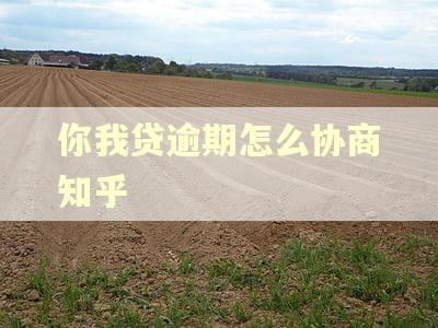 你我贷逾期怎么协商知乎 你我贷逾期怎么协商知乎