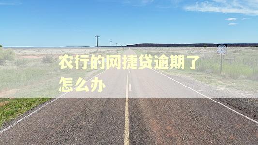 农行的网捷贷逾期了怎么办