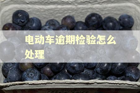 电动车逾期检验怎么处理