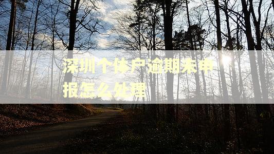 深圳个体户逾期未申报怎么处理