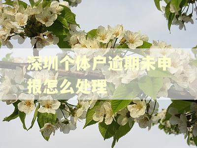 深圳个体户逾期未申报怎么处理 深圳个体户逾期未申报怎么处理