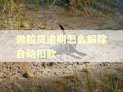 微粒贷逾期怎么解除自动扣款