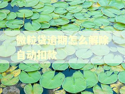 微粒贷逾期怎么解除自动扣款