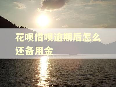 花呗借呗逾期后怎么还备用金